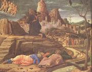 Andrea Mantegna The Agony in the Garden (nn03) Spain oil painting artist